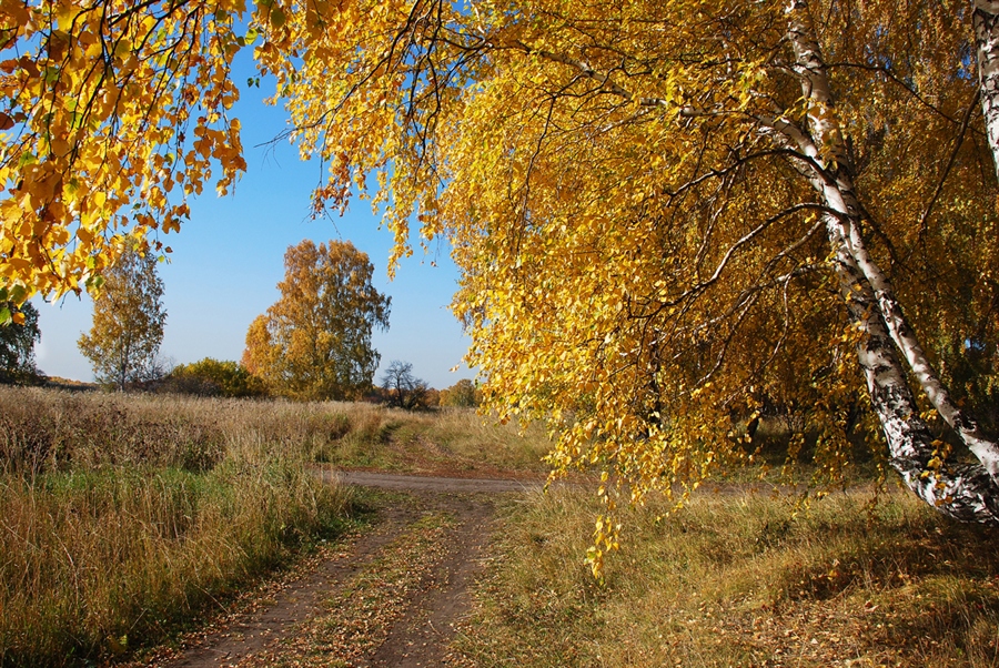 Картинка октября месяца