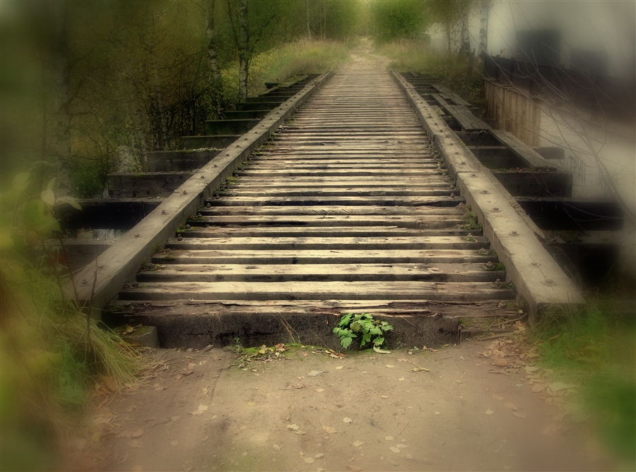 Фото в дорога в никуда