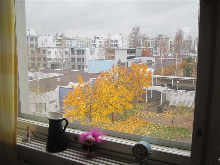 Фото весны из окна квартиры