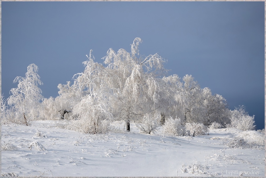 Зимний сон фотографии