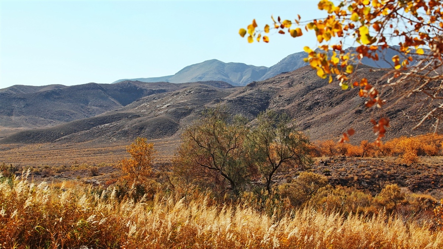 Осень в казахстане