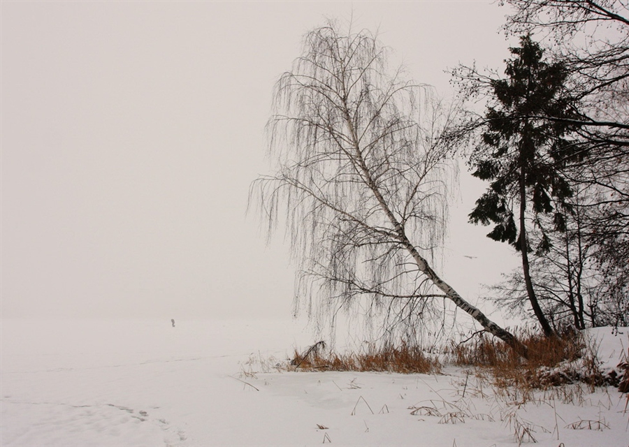В пелене января. Графика белая пелена. За туманной пеленою Клычков. Пелена в антураже таинственности.