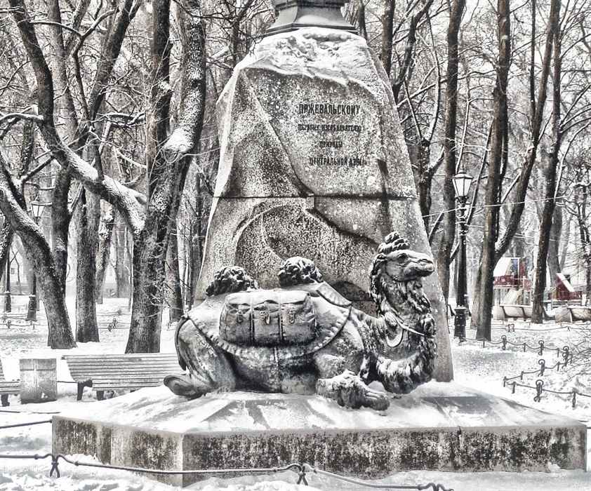 Памятник лошади пржевальского в санкт петербурге