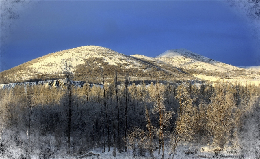 Морджот сусуман фото