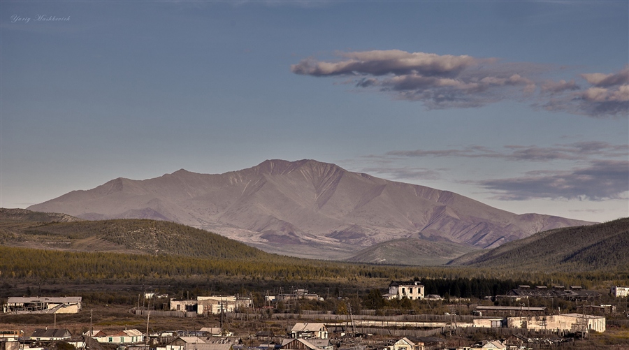 Морджот сусуман фото