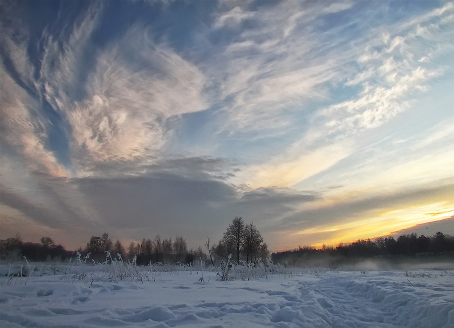 Winter flame. Горошко зима.