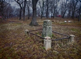 Заболотьевское кладбище памятники
