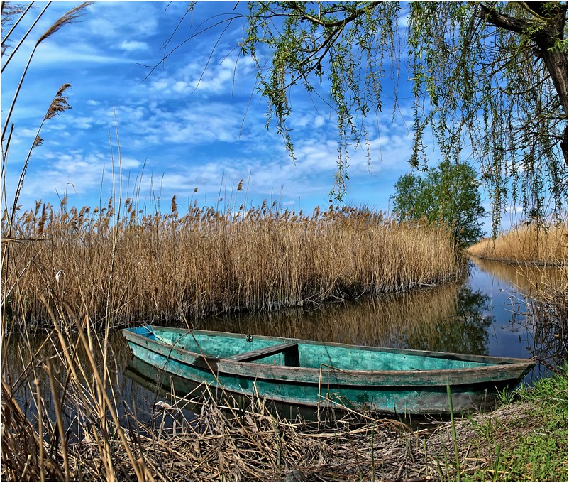 Заводь на реке