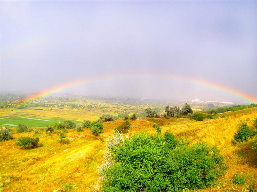 Луганщина. Природа донецкого края. Луганщина природа. Луганщина пейзажи. Природа Донеччини.