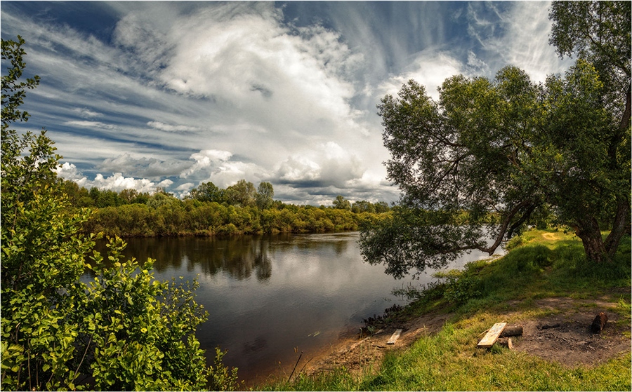 У реки у речки рос. Река Ракита. Кусты у речки. Кусты у реки. Кусты возле реки.