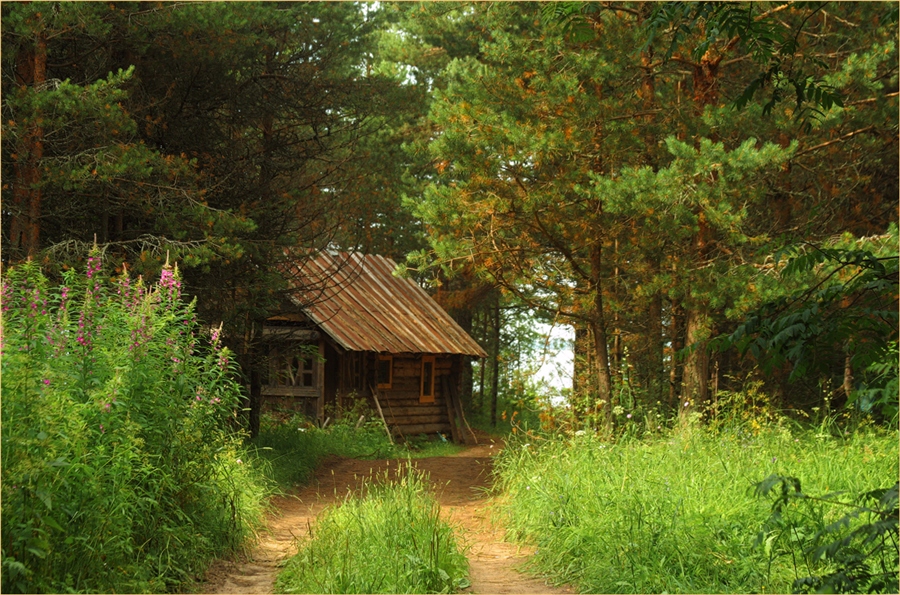 Таежный староверческий скит