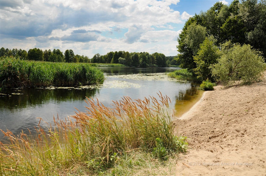 Воронеж река воронеж