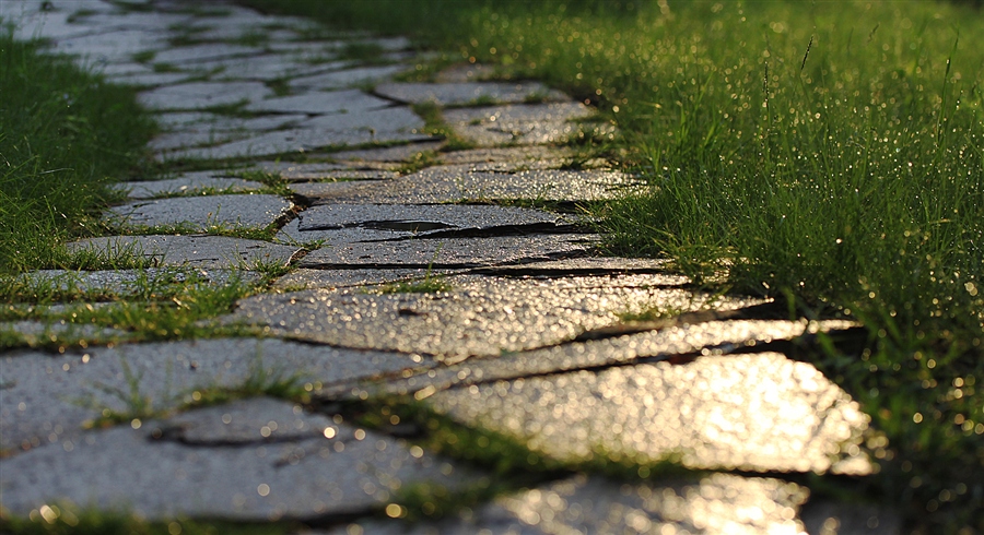 Предложение после дождя