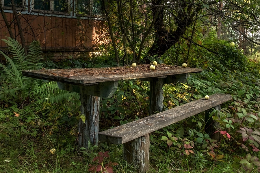 Обед в саду на даче. Столик в саду. Стол под яблоней. Стол в саду. Скамейка под яблоней в саду.