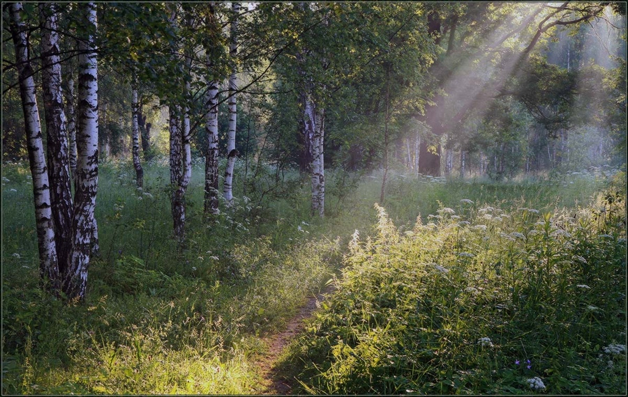 Найди свет