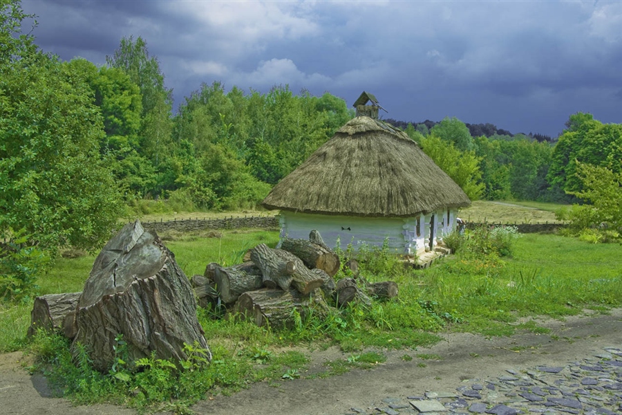 Белорусское полесье фото