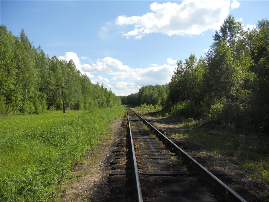 Горьковская железная дорога