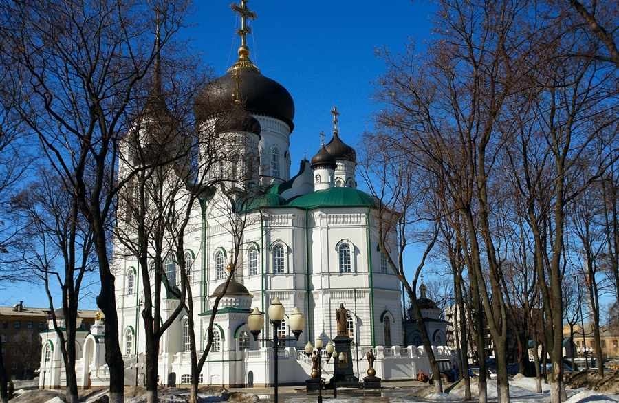 Благовещенский храм сайт. Благовещенский собор Воронеж. Воронеж Благовещенский кафедральный собор осень. Благовещенский кафедральный собор Воронеж зимой. Храм Первомайский сад Воронеж.