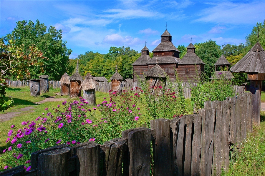 Лесной хуторок