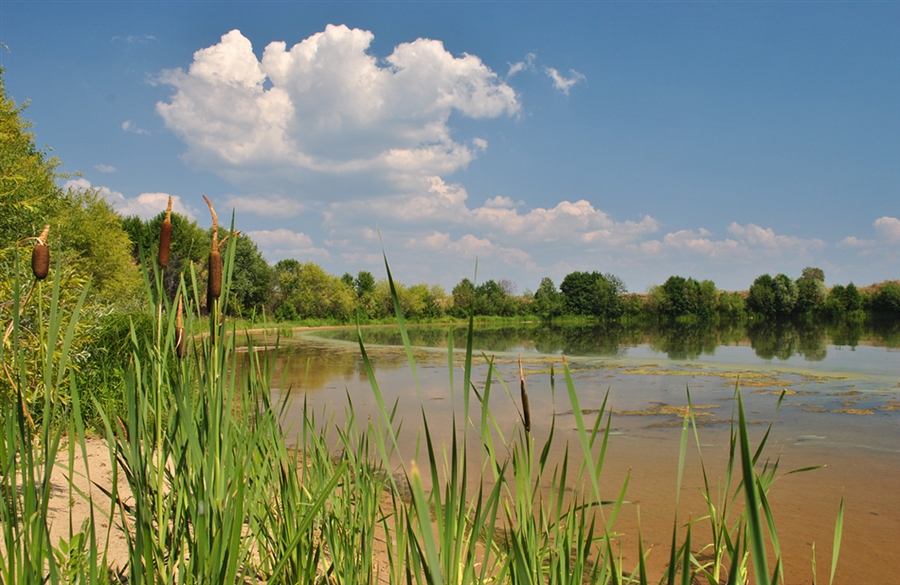 Жаркий летний день