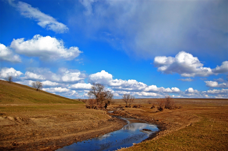 Центральный край