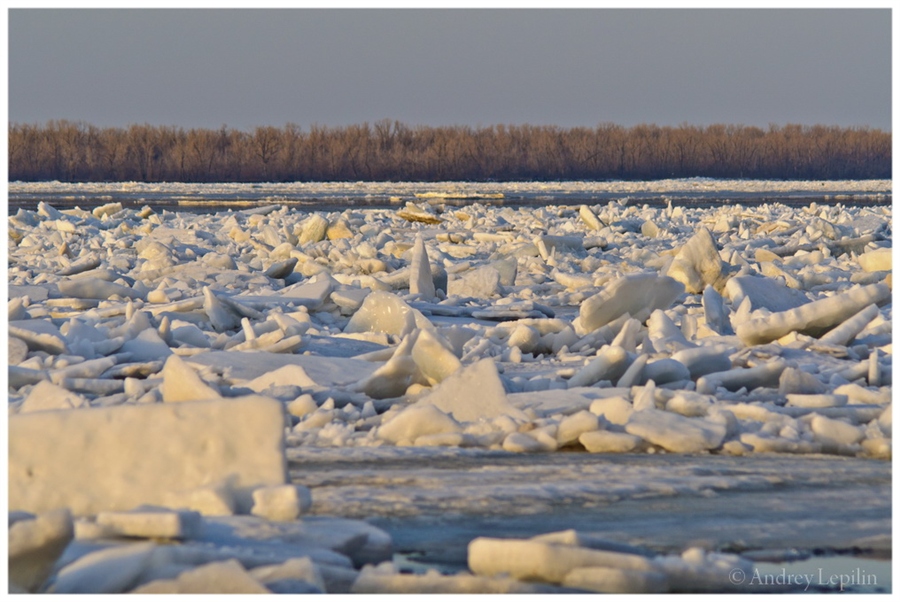 Ледоход на ледоход на сев. Ледоход на Волге. Ледоход Ленск. Ледоход на Печоре.