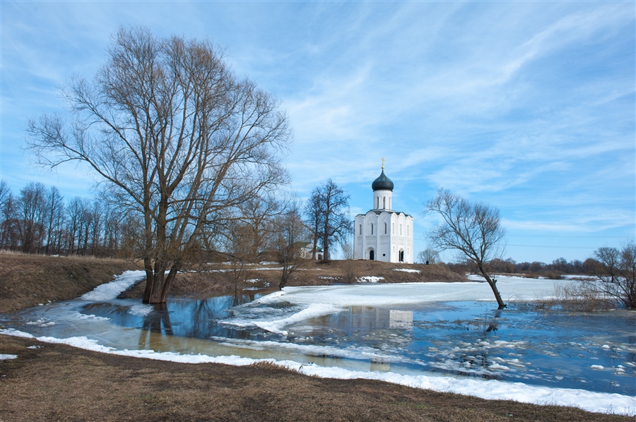 Храм Покрова на Нерли весной