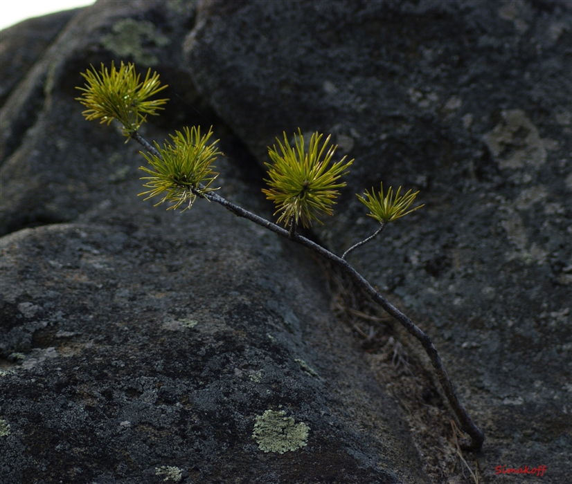 Фото прорвемся