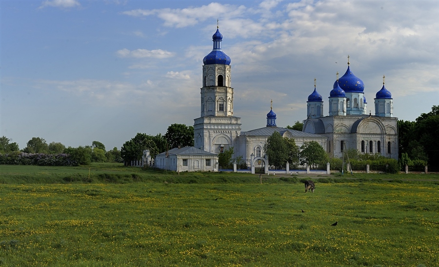 Липецкая воронежская