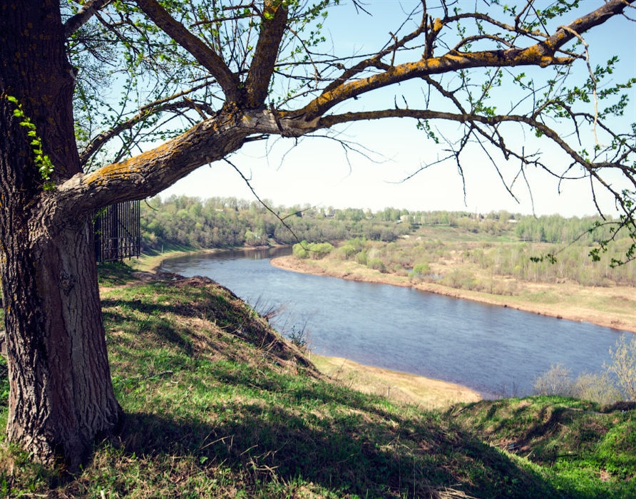 Слив фото ржев