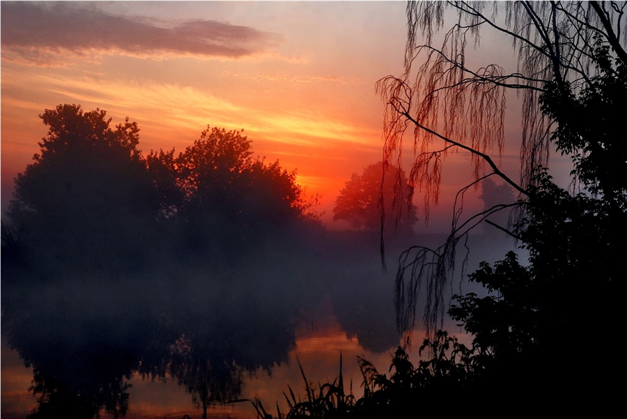 Фото заря утренняя заря