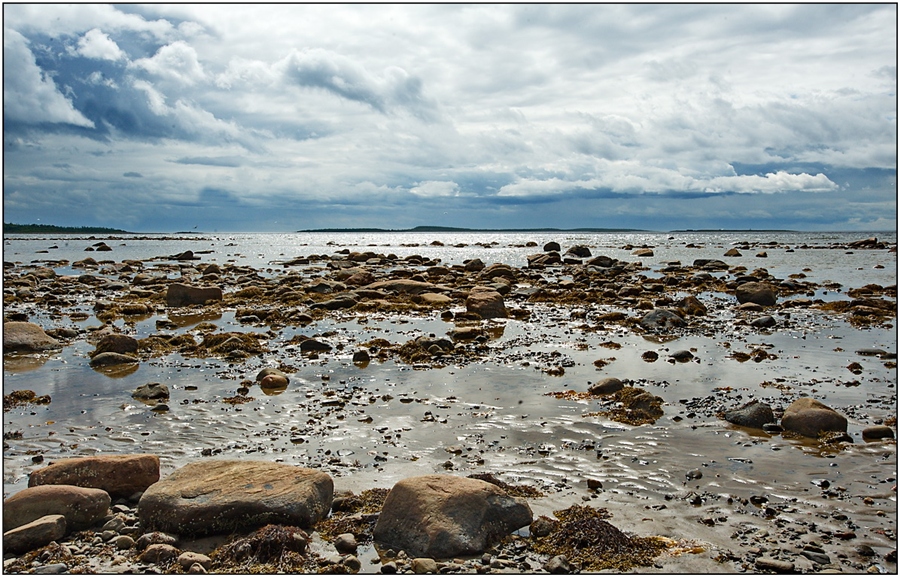 Жизнь на белом море. Дно белого моря. Белое море в июне. Южный берег белого моря экология романтика. Сферы на берегу белого моря.