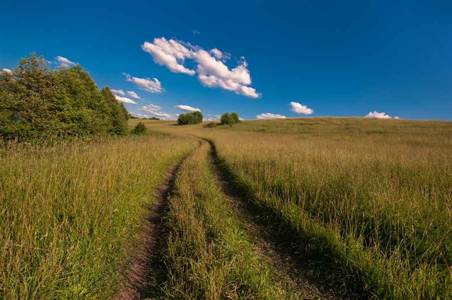 Фото домой