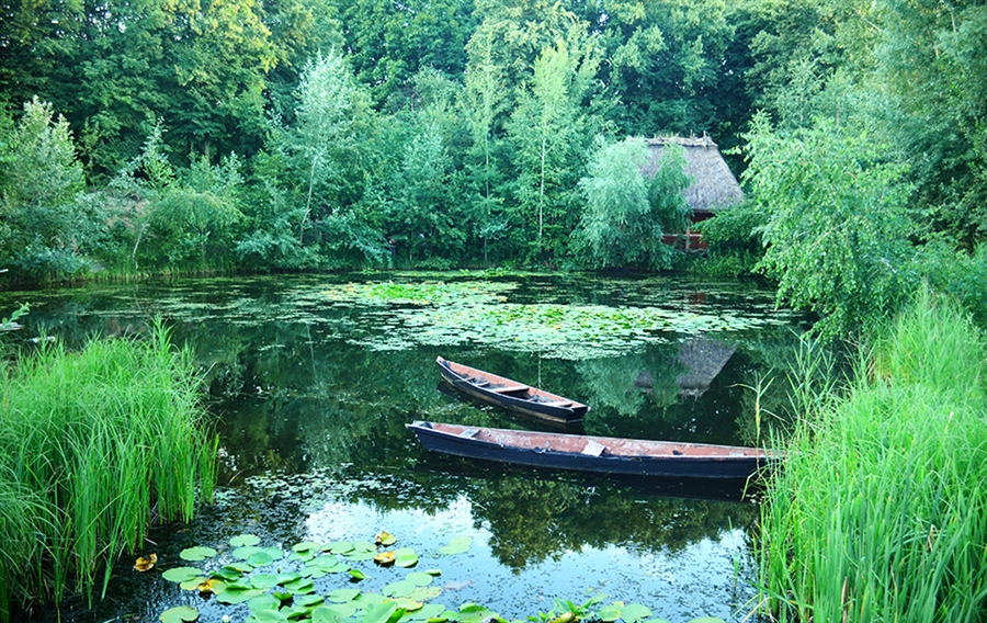 Деревня озерцо. Озерцо. Озерцы Московская область. Озерцо в лесу. Озерцо фото.