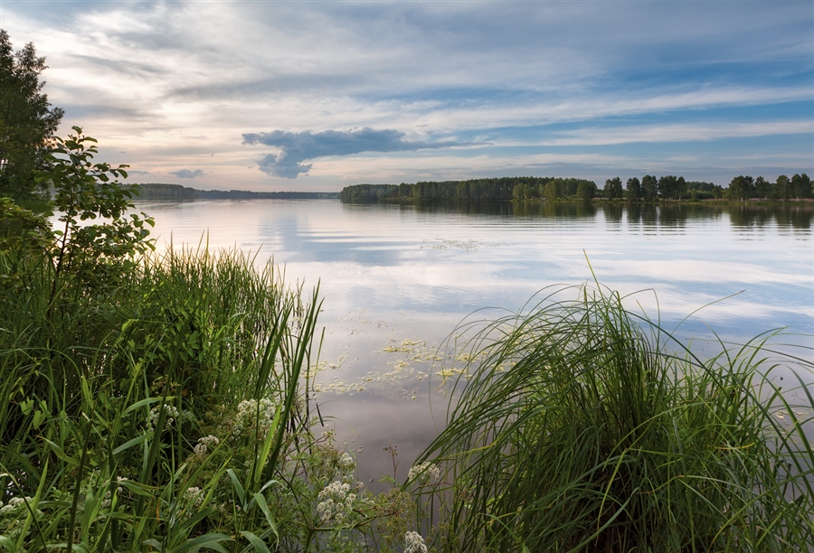 Река десна в десногорске фото