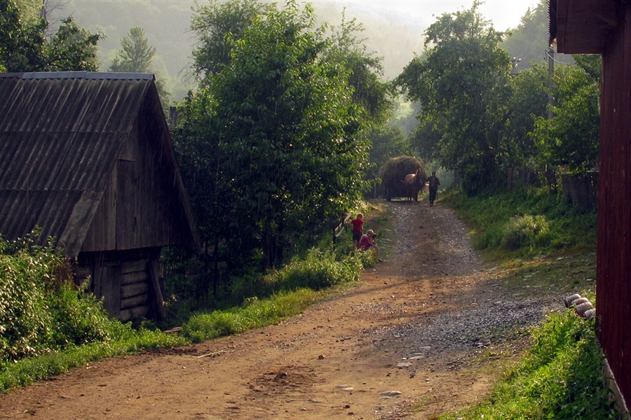 Село дождь. Дождь в деревне. Дождливая деревня. Дождик в деревне. Ливень в деревне.