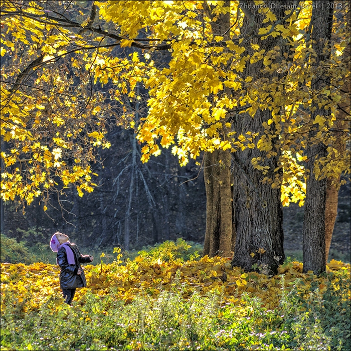 Приходящей осени. Осень наступила. Осень началась. С наступлением осени. Картина осень пришла.