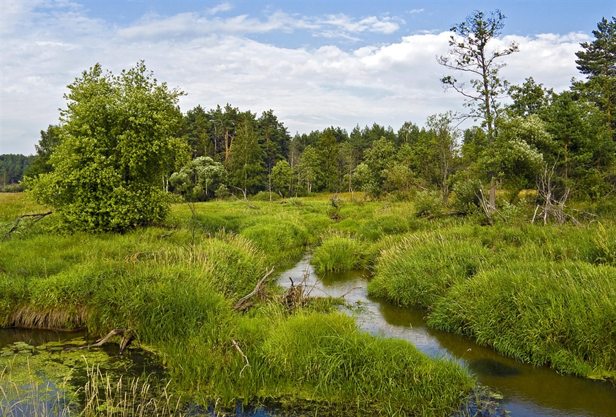 Противоположный берег реки. Маленькая речка. Маленькая река. Маленькие речушки. Мелкая река.