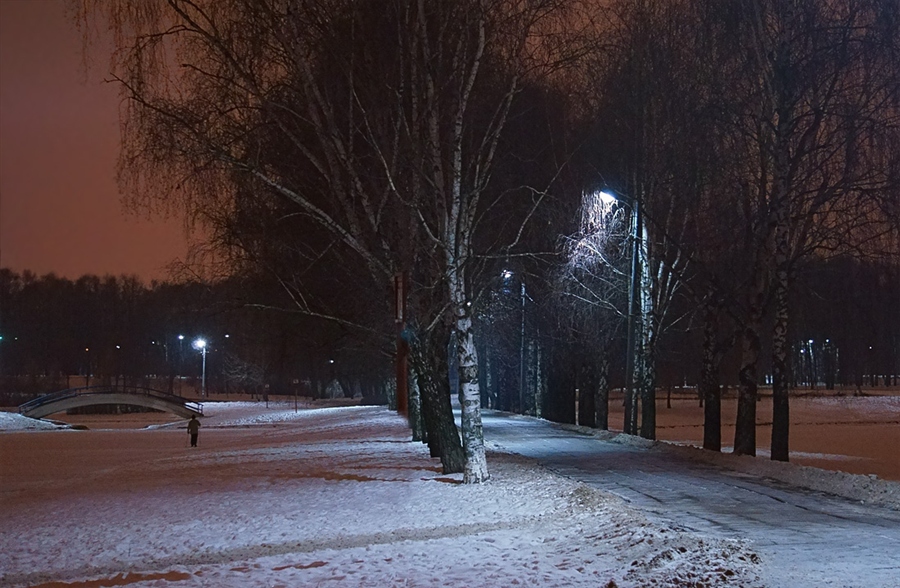 Платоновский парк зимой тула