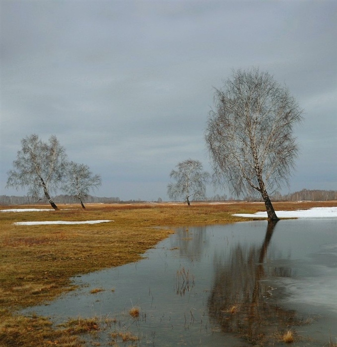 Еще в поле белеет снег. В полях Белеет снег. Белеет снег. Еще в полях. Иллюстрация к стиху еще в полях Белеет снег.