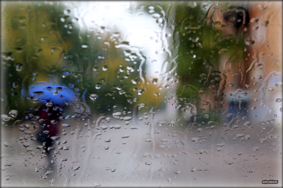 Had rain. Лето дождь холодно. Дождь и жизнь. Холодная дождливая. Холодное лето с дождем!.