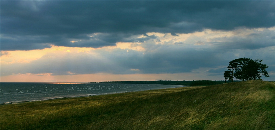 Взморье калининград фото