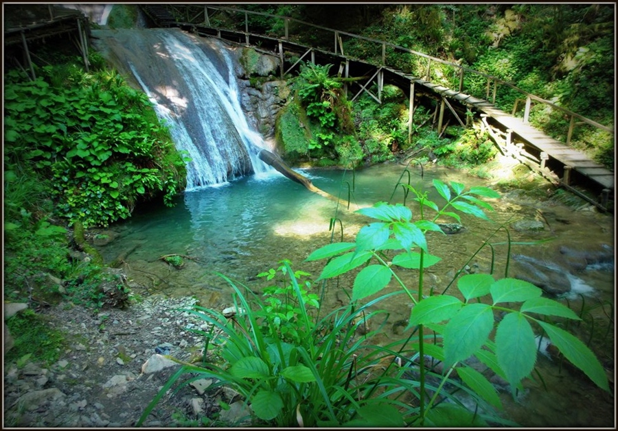 Большой кичмай фото