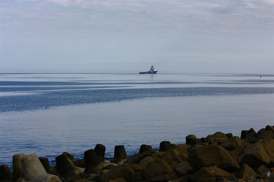 Татарский пролив. Татарский залив Сахалин. Море Лососина татарский пролив. Бухта Невельского.