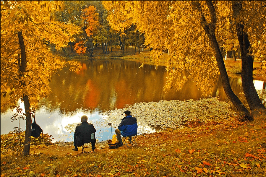 Осенняя жизни