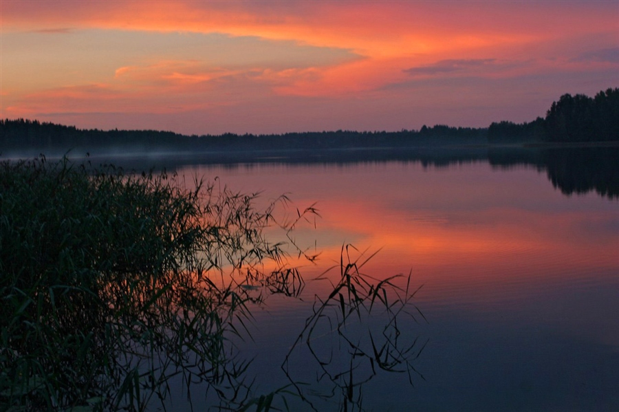 Природа 21. Природа за час до рассвета. Солнце замерло до рассвета. Замерло. До рассвета картинка.