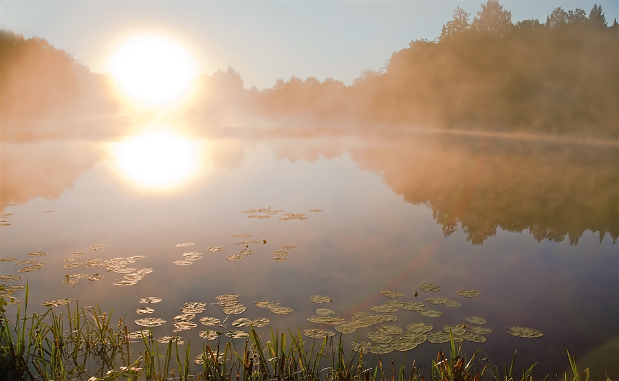 Тихая и теплая заря занималась над землей. Летнее утро. Летний рассвет над рекой. Утро природа. Раннее утро на озере.
