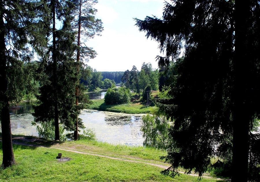 Купить Дом В Даймище Гатчинский Район