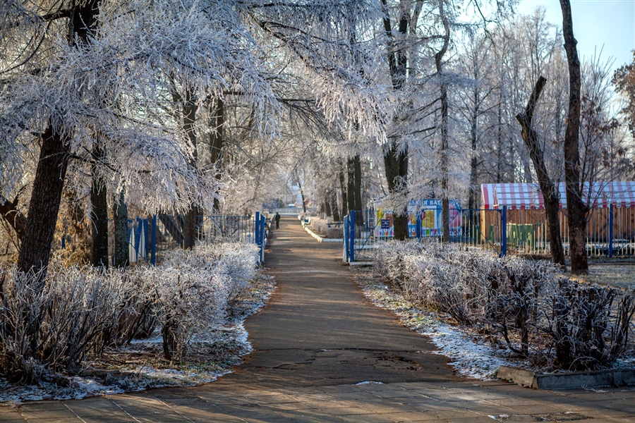 Парк в муроме