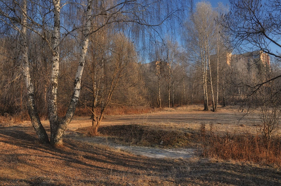 Поздняя осень 3. Картинки на тему поздняя осень. Поздняя осень картинки для детей. Поздняя осень в Тамбове. Монино осень ноябрь.